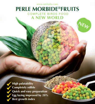 Ornitalia Perle Morbide grün gelb 800g Aufzuchtfutter für Vögel Keimfutter - Bild 1 von 2