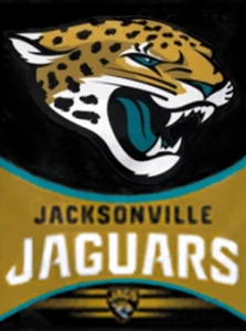 NFL Heavy Duty 27"X37" Jacksonville Jaguars Banner - Picture 1 of 1