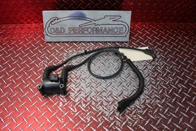 Harley Road Glide 2016 bobina de encendido OEM con cable de 8 mm hecho por Taylor 2009-2016 RG34 Foto 1 de 4