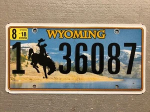 WYOMING LICENSE PLATE BUCKING BRONCO LAKE- MOUNTAINS 🏔 RANDOM LETTERS/NUMBERS - Picture 1 of 2