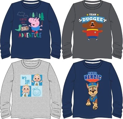 Boys Long-Sleeve T-Shirt/ COCOMELON/DUGGEE/GEORGE PIG/PAW PATROL Tee 1 - 5 Years - Image 1 of 4