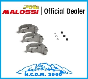 MALOSSI 5219024 KIT COMPLESSIVO MASSE FRIZIONE FLY CHLUTCH PIAGGIO BOSS 50 2T - Imagen 1 de 3