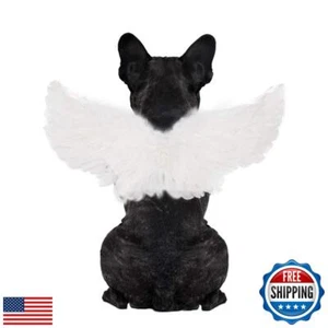 WeeH Haustier Halloween Kostüm Cosplay Engel Teufel schwarz weiß Flügel für Hund Katze R - Bild 1 von 3