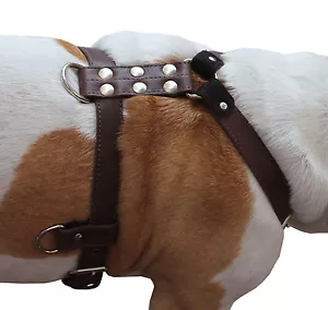 Genuine Leather Dog Harness 25"-32" chest, 1" wide Adjustable Straps - Picture 1 of 10