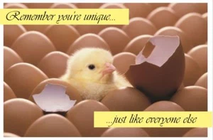 You're unique just like everyone else - Funny POSTER - Picture 1 of 1