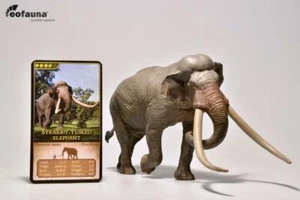 Eofauna 1/35 Straight-tusked elephant Animal Figure Collector Palaeoloxodon Toy - Bild 1 von 10