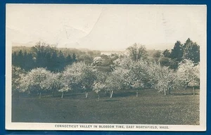 Connecticut Valley Blossom Time East Northfield Massauchetts real photo postcard - Picture 1 of 2