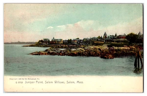 Cartolina MA Massachusetts Salem Juniper Point Salem salici non spedita c1900s - Foto 1 di 2