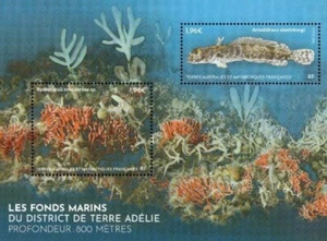 fsat 2025 taaf antarctic seabed Terre Adelie district Depth 800 meters fish ms2v - Picture 1 of 1