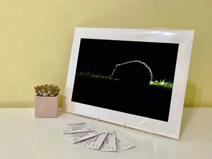 Kunstdruck Bild Bild Foto Fotografie - Igel Tier | Natur | Tierwelt - Bild 1 von 4