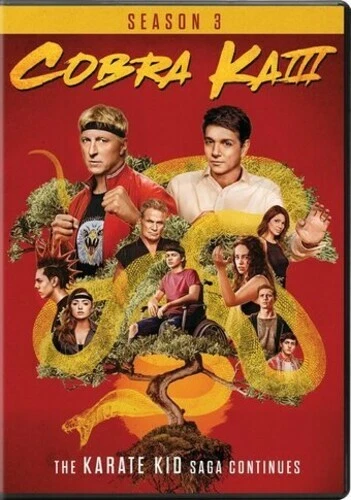 Cobra Kai: Season 3 (DVD, 2021)