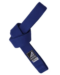 Cinturón Azul De Lujo Taekwondo TKD Karate Judo Sambo MMA 1.75" Ancho Artículos Deportivos - Imagen 1 de 5