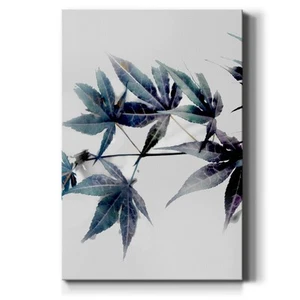 Blue Maple II-Premium Gallery Wrapped Canvas - Ready to Hang - Picture 1 of 5