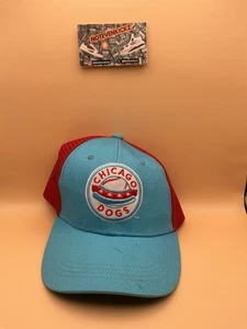 Chicago Dogs Minor League Baseballmütze blauer Schirm weiß Netz Trucker Druckknopflasche - Bild 1 von 2