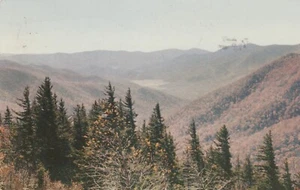 Una vista da Blue Ridge Parkway, Asheville, North Carolina Vintage Souvenir Post - Foto 1 di 2