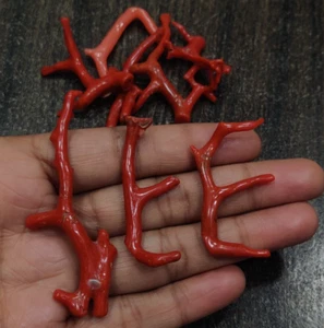 Natural Red Coral Branch Lot-Mediterranean Polished Italy Coral Rough Gemstone - Picture 1 of 12
