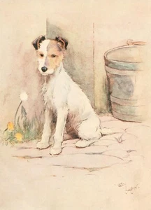 Cecil Aldin White Ear and Peter Fox Terrier Photo Print Poster Picture - Picture 1 of 6