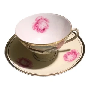 Taza de té y platillo con borde dorado flores rosas de colección American Fall from Goat Island Pic - Imagen 1 de 8