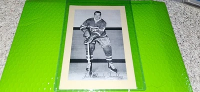 Bee Hive Group 2 - J C TREMBLAY LIGHT BACKGROUND VARIATION  MONTREAL CANADIENS - Image 1 of 4