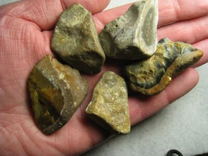 Lot Of 5 Quartz Fossil Chert Flint W/Spirals Stones Kansas 105 Grams Total - Picture 1 of 18