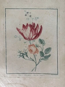Louis Marie Bonnet Tulipe Rose Jaune Rosa Tulpe Maniere De Crayon 1780 Ovp - Picture 1 of 2