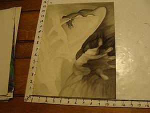 L.H. HART art: trippy ink wash & pencil: MEDUSA HEAD, DRAGON HAND, figures #1 - Picture 1 of 3