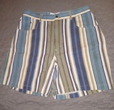 复古 90 年代 Carolina Blues 条纹牛仔女式牛仔裤短裤 18 码 — 第 1/4 张图片
