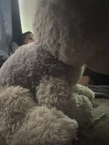 Dog Plush - Picture 1 of 4