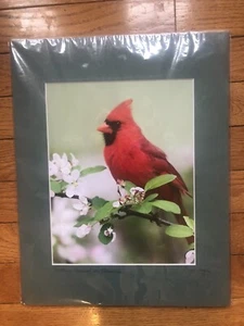 Northern Cardinal On Blossoms Matted Print Wall Art, Tom Sayers Signed Art - Picture 1 of 8