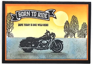 Handmade Card - Hope Today is One Wild Ride! - Picture 1 of 1
