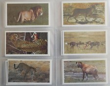 Players Grandee - African Wildlife - 1990 - Set of 30 cards