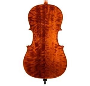 Amazing Goffriller Cello 4/4 Hand-Made in Europe 2024 #27 - Picture 1 of 14