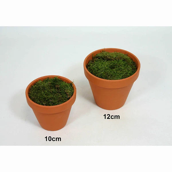 Tontopf 10cm mit Steckmasse und Moos - Bild 1 von 1