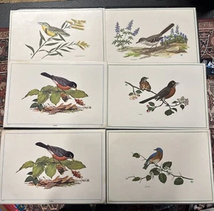 Birds Laminated Placemats Set of 6 Vintage Various Paintings - Picture 1 of 13