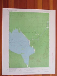 Wickiup Dam Oregon 1965 mappa originale d'epoca USGS Topo - Foto 1 di 1