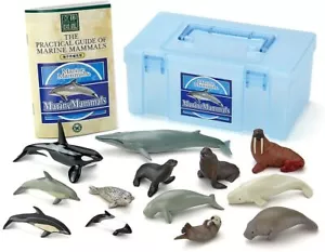 Figura Real Colorata Mamíferos Marinos CAJA Nuevo Japón Envío Grabado con T - Imagen 1 de 9