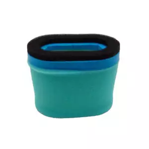 Proven Part 690610 Air Filter For Briggs & Stratton 697029 498596 For John Deere - Picture 1 of 9