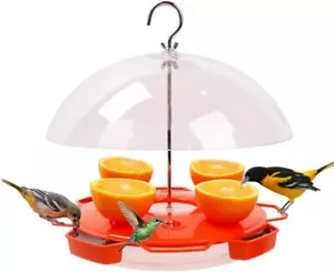 Solution4patio Baltimore Oriole Feeder Hummingbird Combination 3 Types Food Oran - Picture 1 of 2