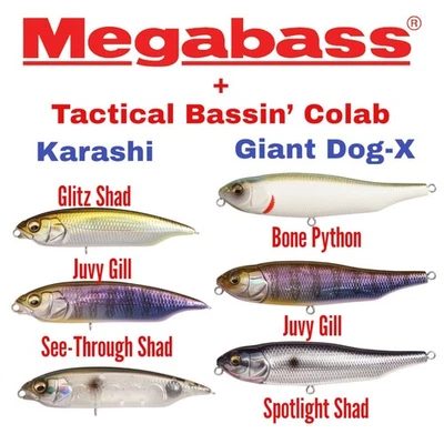 Megabass - Tactical Bassin' Collab Giant Dog-X & Karashi - Choose Model & Color - Image 1 of 4