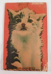 Kitten Squeeze Action Sound Post Card "Meow" Vintage 1956 Works Good! Cat - Picture 1 of 4