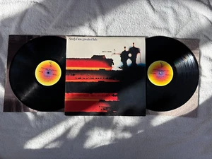 Steely Dan Pop Rock LP (ABC AK 1107/2) Steely Dan Greatest Hits VG+ - Imagen 1 de 2