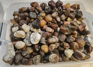 Lot Of 200+ Lake Superior & Prarie Du Chien Wisconsin Agates - Picture 1 of 1
