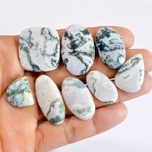 8 Pcs 194 Cts Natural Tree Agate Cabochon Loose Gemstone Lot 18x15 28x26mm #2693 - Picture 1 of 4