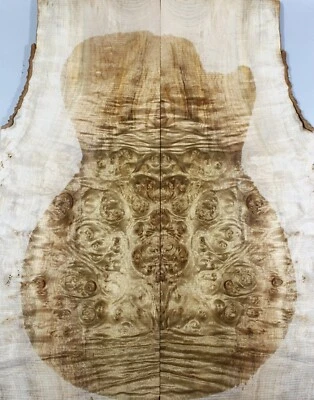 5A Electric Bass Top Golden Camphor Wood Burl Bookmatched Set Luthier Supply - Image 1 of 4