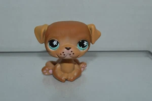 Littlest Pet Shop ~ #Nein ~ Mops ~ Hund Welpe ~ sitzend ~ hellbraun beige ~ hellblaue Blumenaugen - Bild 1 von 3