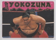 1995 Action Packed WWF Yokozuna #9