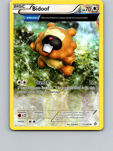 Bidoof 117/160 Uncommon Primal Clash Pokemon Near Mint | eBay