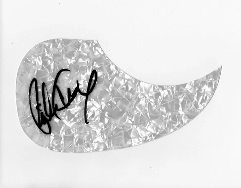 Right Here Waiting Richard Marx Signed Guitar Pick COA Cover