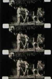 YOU CAN'T MISS IT SHORT 16MM FILM MOVIE ROLLED NO REEL Z170 - Imagen 1 de 9