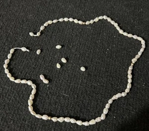 Freshwater Pearls Broken Necklace With Gold Acccents - Picture 1 of 3